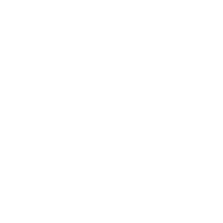 VIZMYSTECH LOGO copywright VIZMYSTECH 