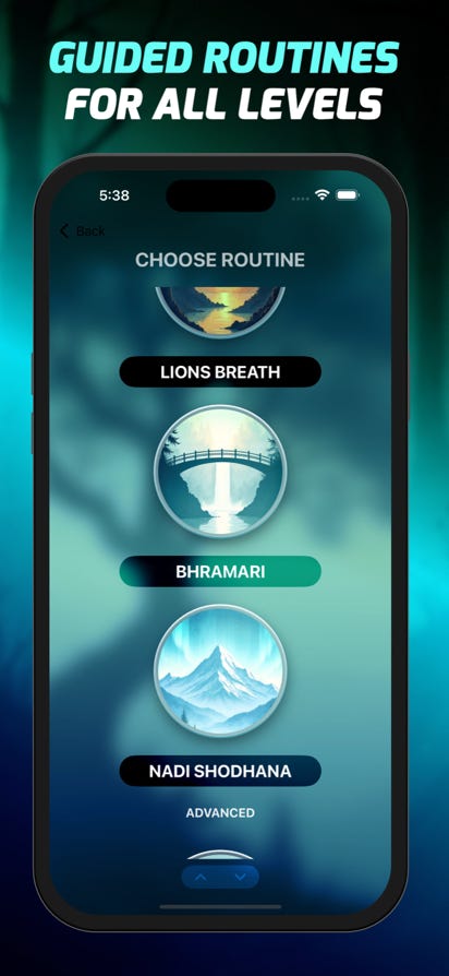 SHadow Work App