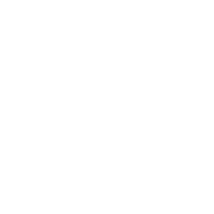 VIZMYSTECH LOGO copywright VIZMYSTECH 